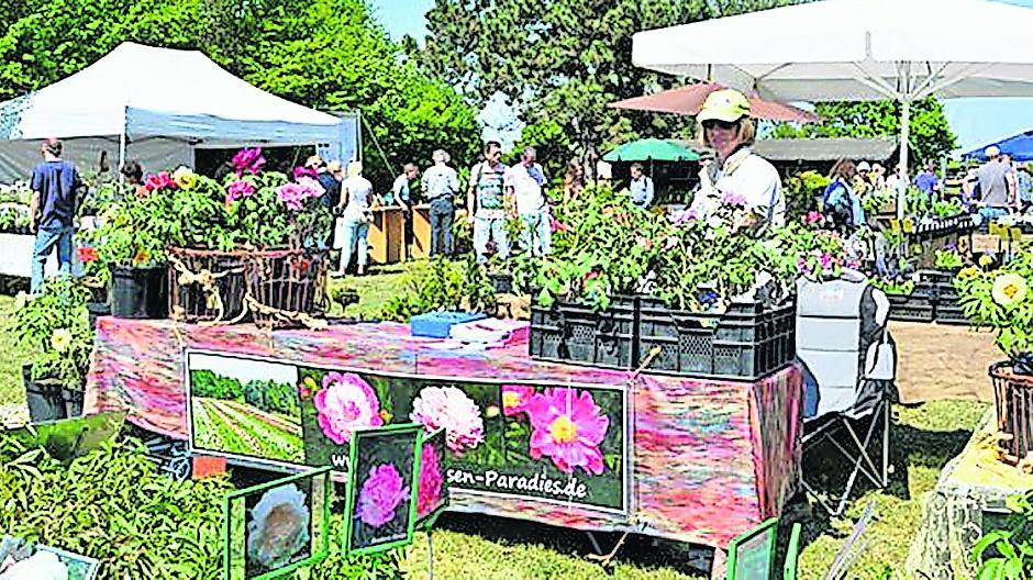 8. Stauden- und Raritätentag