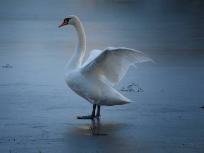Achtung: Zugefrorene Seen nicht betreten!