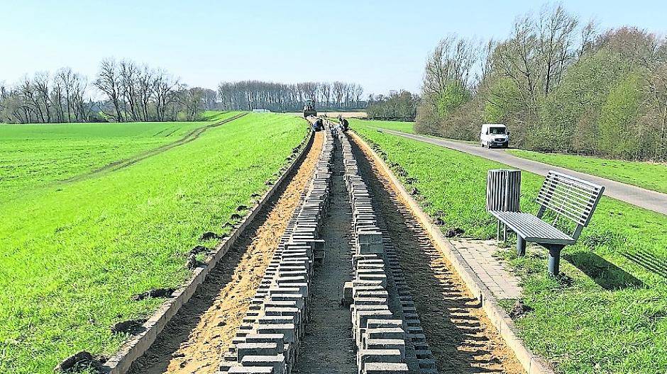  Ameisen haben den Deich auf Höhe Ilverich beschädigt. Jetzt läuft die Sanierung des letzten Teilabschnittes. 