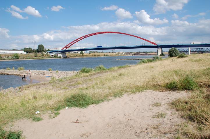  Auch wenn die Verlockung groß ist, mal im Uferbereich des Rheins ins Wasser zu steigen, ist Lebensgefahr angezeigt. 