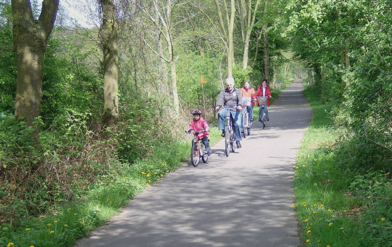 Mobil vor allem mit Auto und Rad