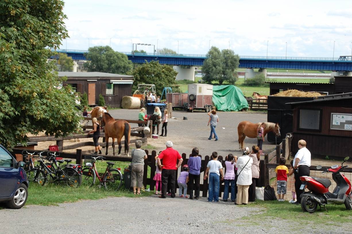 Der Tiergnadenhof samt Jugendfarm kümmert sich um verwahrloste und verwaiste Tiere, überwiegend Pferde, und gibt ihnen ihr "Gnadenbrot". Zudem bietet die integrierte Jugendfarm Kindern und Jugendlichen vielfältige Möglichkeiten, ihre Freizeit mit den Tieren zu verbringen.