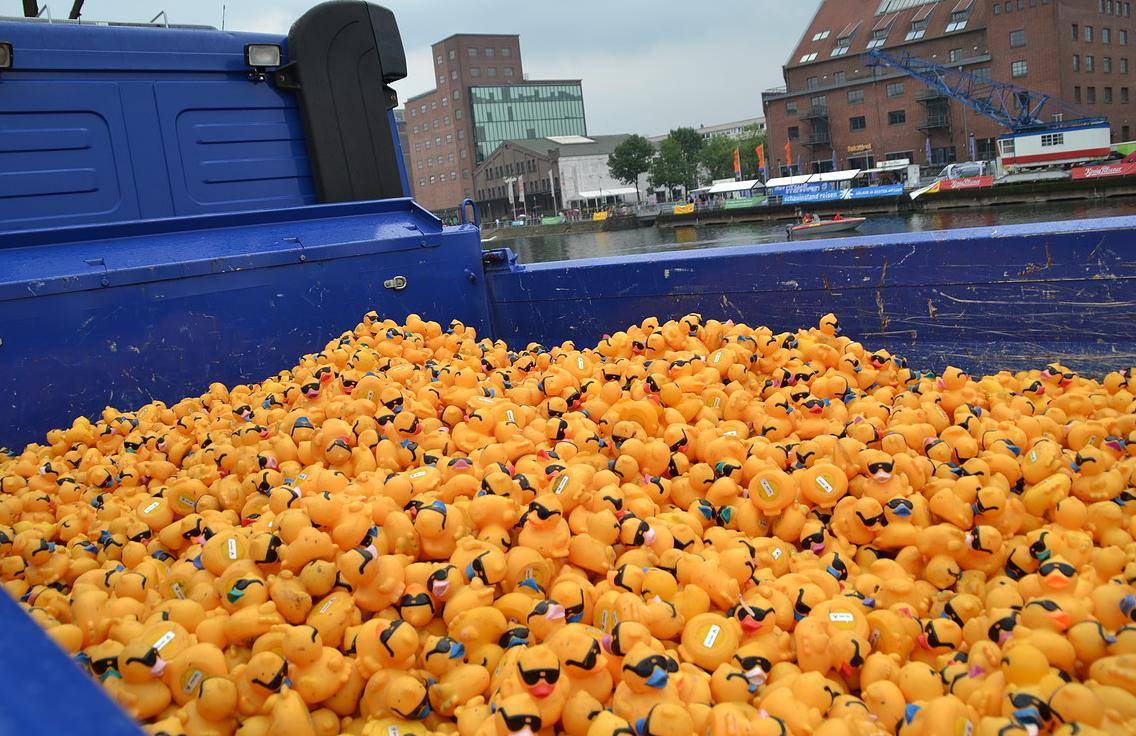 Insgesamt nahmen 7.200 Enten (Lose) am diesjährigen Rennen...