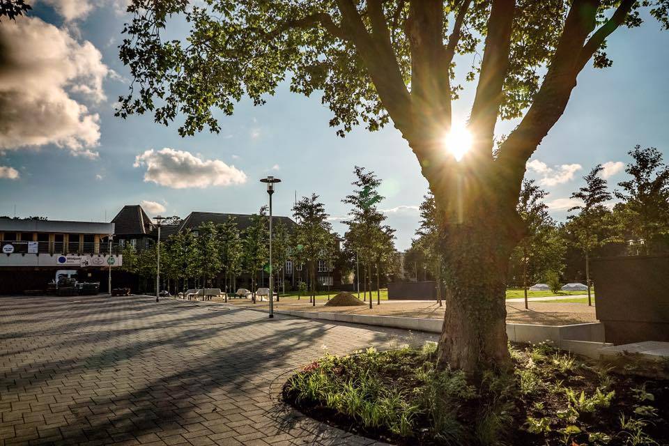  Der neugestaltete Stadtpark hat in der tat etwas französisches an sich .. Unter dem Kirschhain, mittig des Bildes, wird das Boule-Turnier stattfinden. 