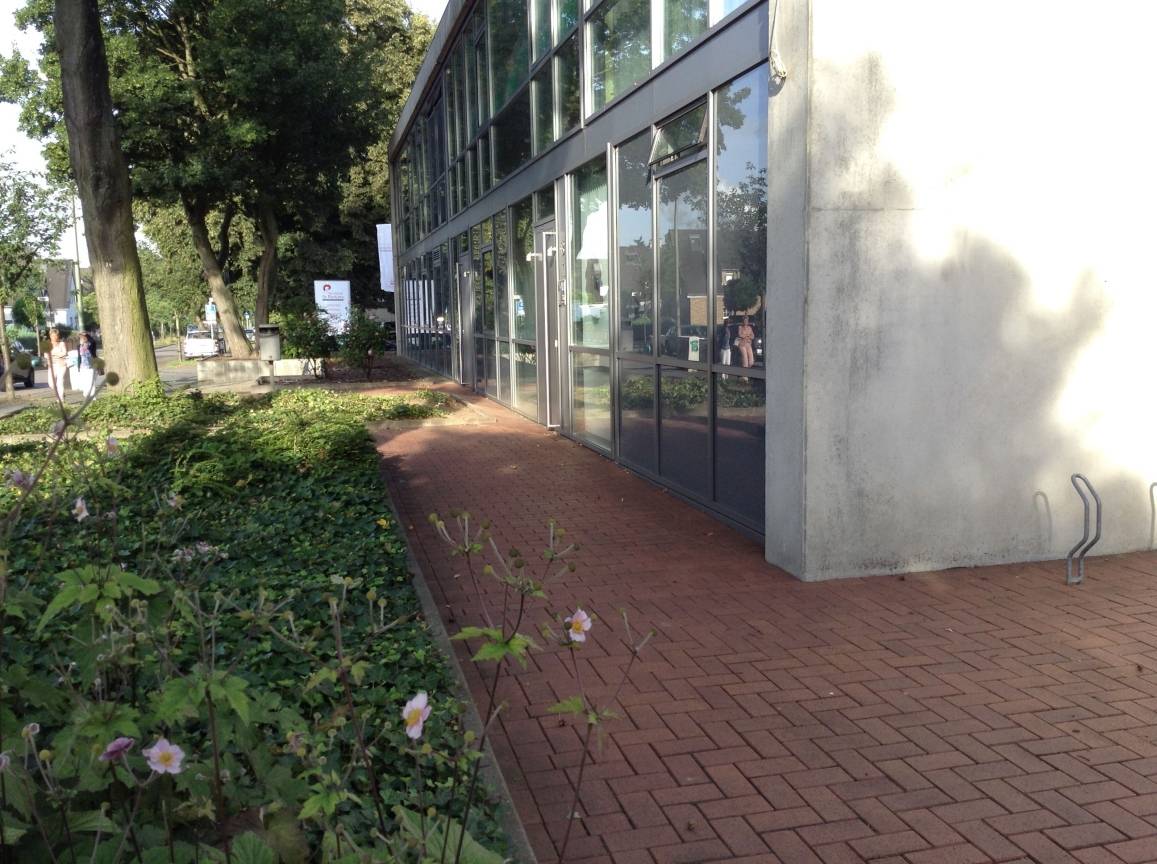 Volles Programm zum 8. Walsumer Seniorentag