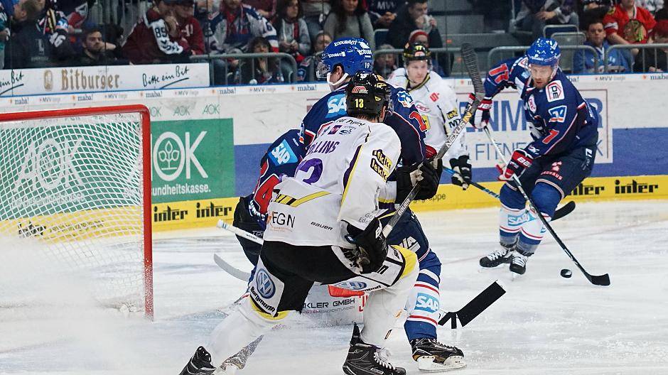 Alle Bilder: Pinguine gehen in Mannheim unter