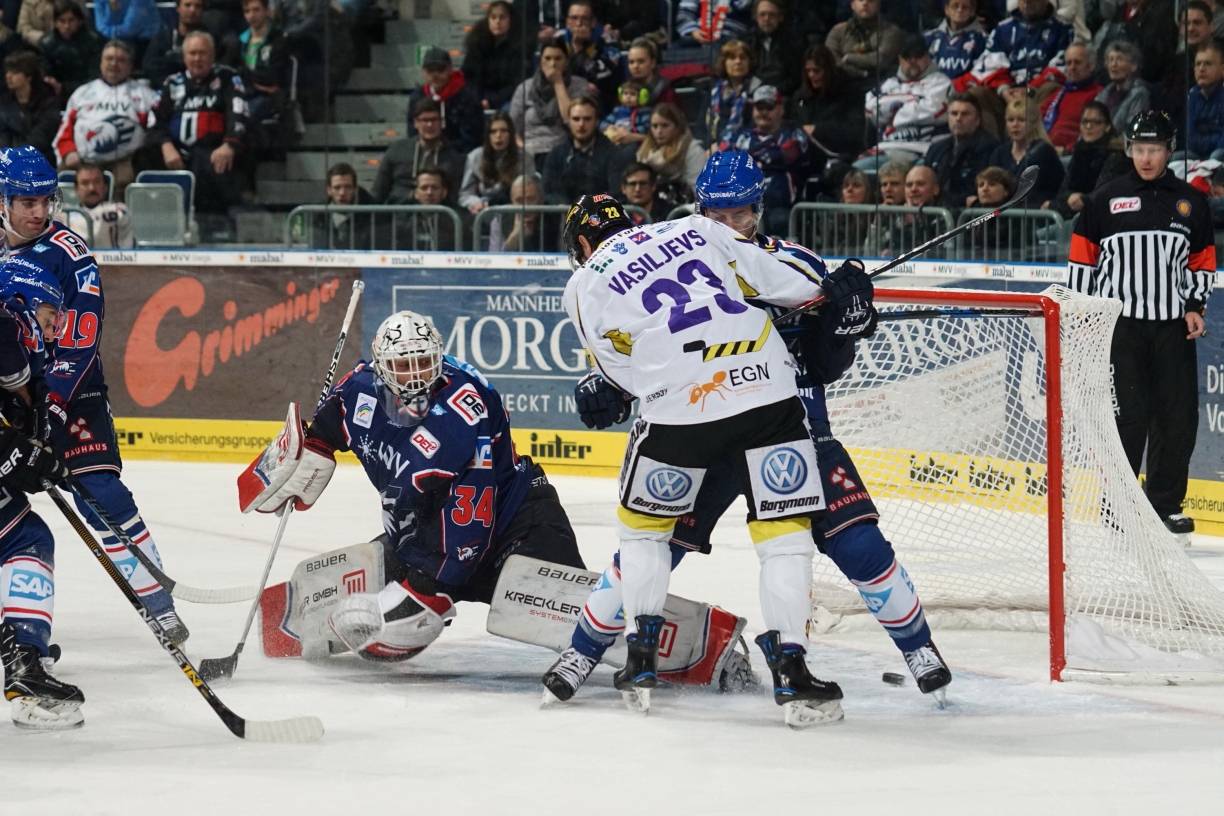 Adler rupfen Pinguine - 2:6