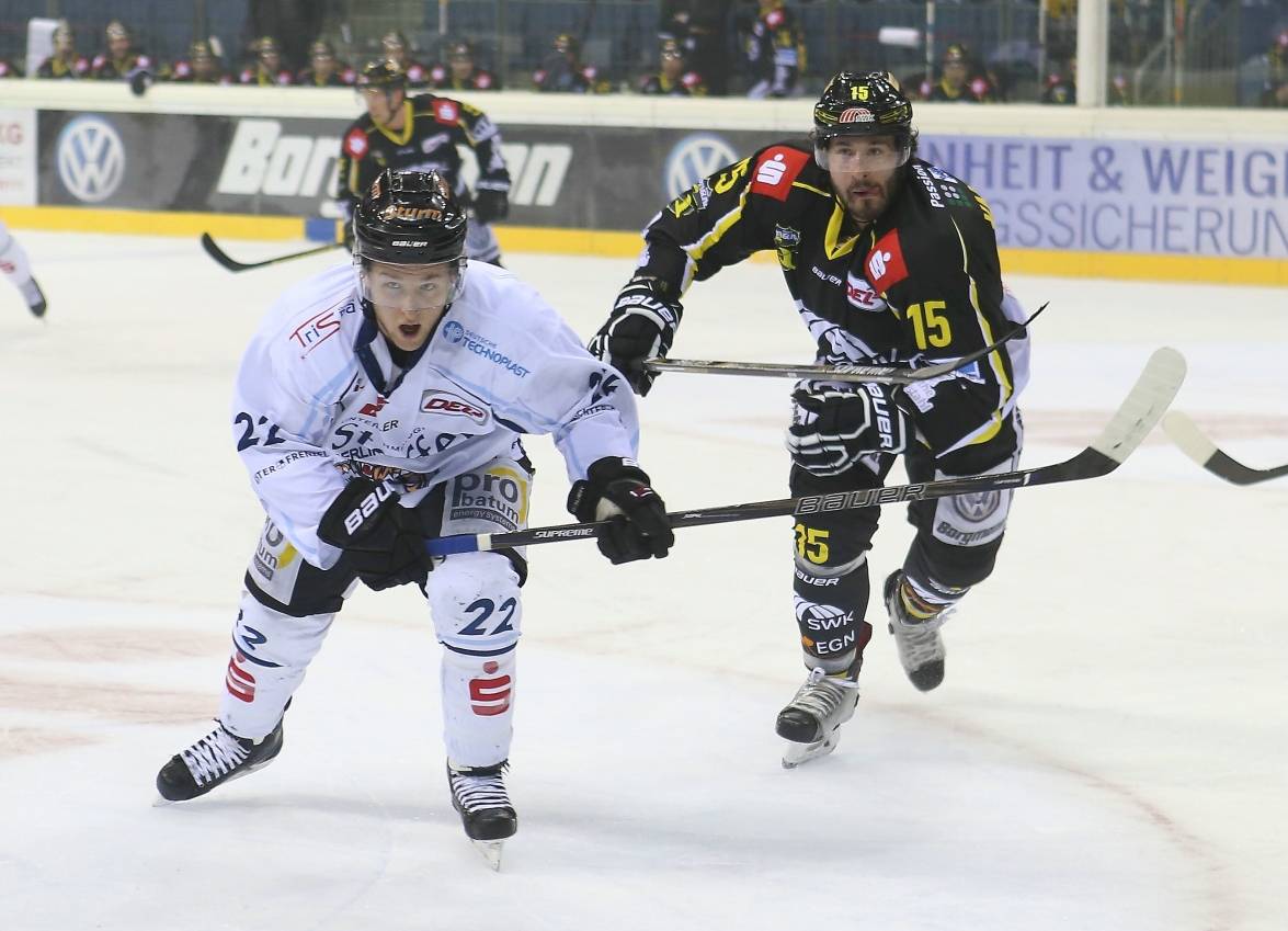 Pinguine heute auf Tiger-Jagd