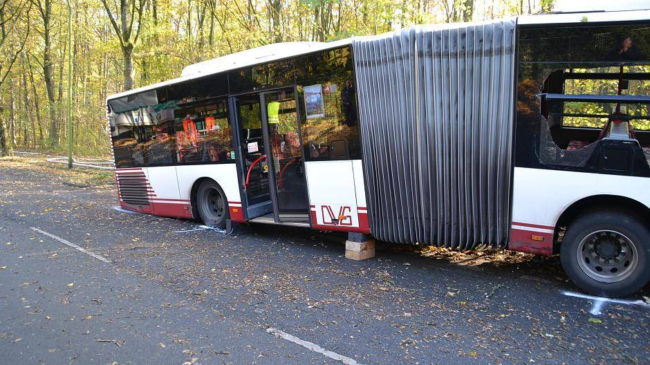 ....das hintere Element des Gelenkbusses...