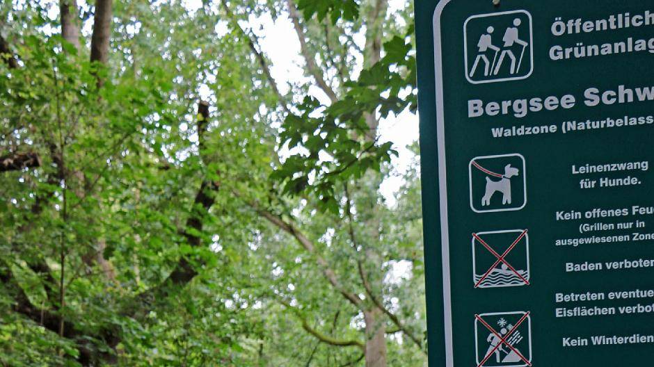 Nachhaltig aufgebessert und deutlich beschildert führt der Weg in die Waldzone des Bergsees.