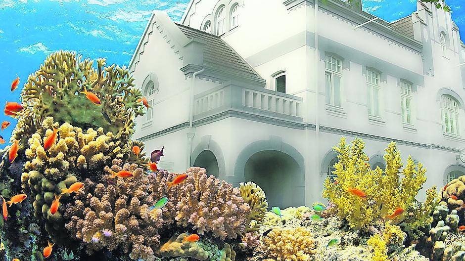 Unter dem Motto „Wir tauchen ab — Rheinische Unterwasserwelten“ erwartet das Rathausteam den Ansturm.