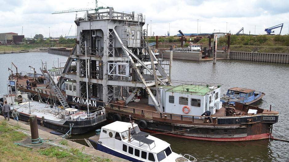 Kaiman im Hafen!