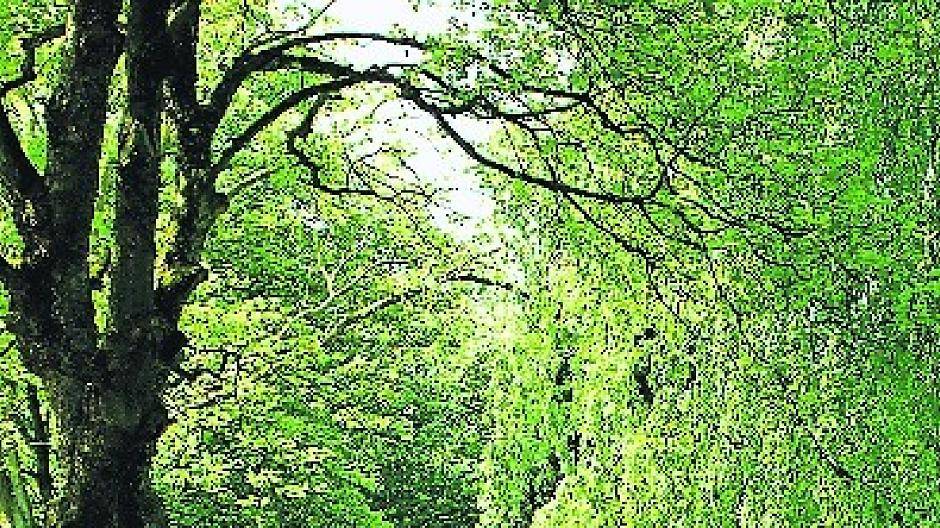  Auch der Botanische Garten ist ein lohnendes Ausflugsziel. 