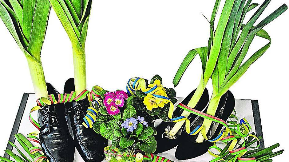 Geheimnis um Hülser Prinz Karneval