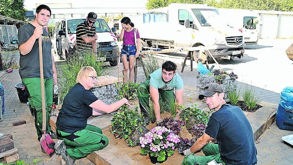 Die Landschaftsgärtner gaben Einblicke in ihre Arbeit.
