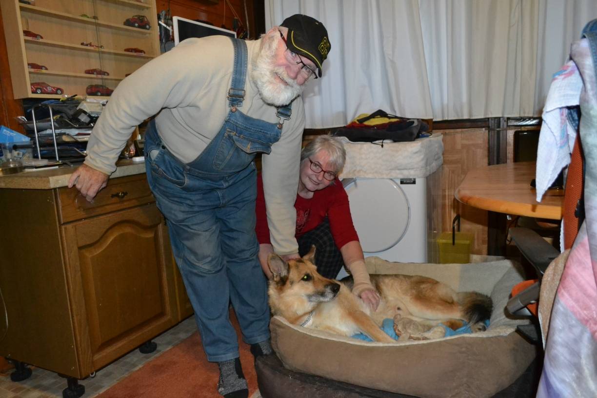  Madro genießt die Streicheleinheiten von Dieter und Wilma Bräuer. Für alle Drei war es „Liebe auf den ersten Blick“. Besonders gut an der Vermittlung durch die Tierherberge hat den Bräuers gefallen, dass man dort auch ein offenes Ohr für ihre Probleme hatte. 