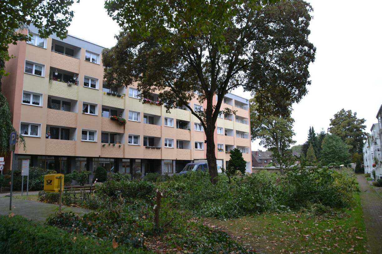 Flurbereinigung am Emil Bosbach Haus