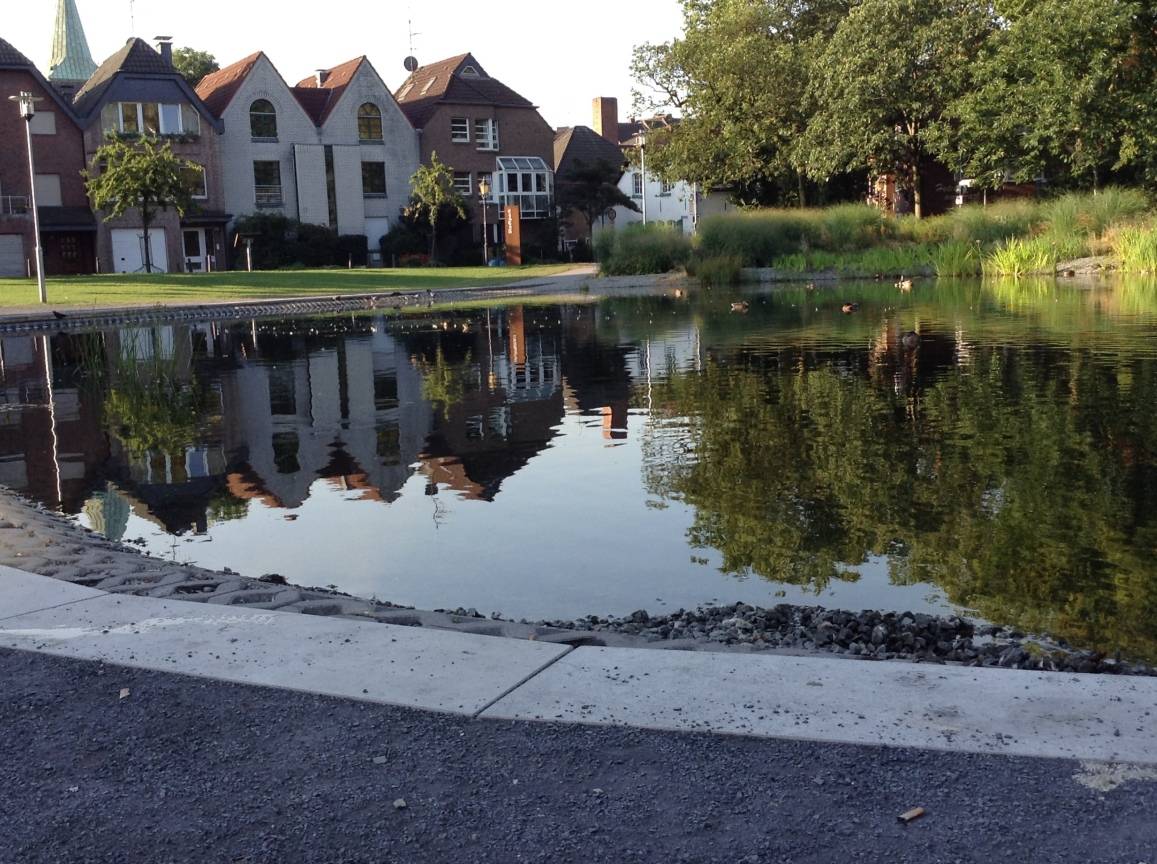 Zu viele Fische im Ententeich: Tiere werden elektrisch betäubt und entfernt