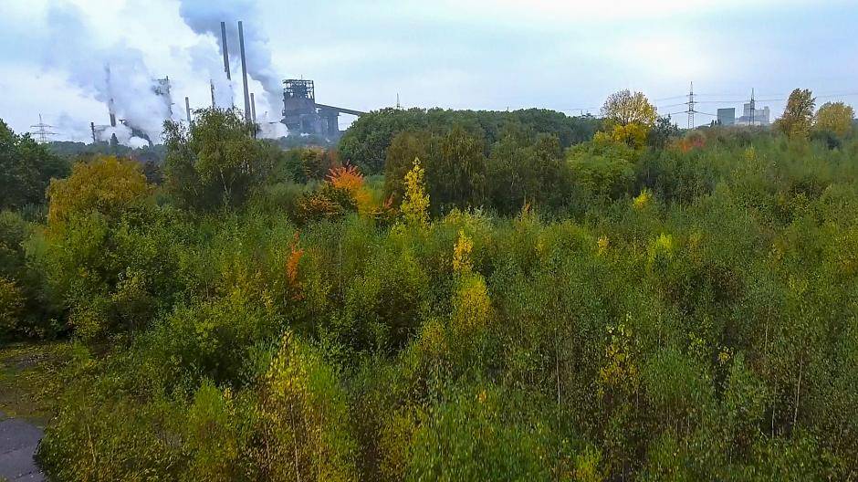 Aus Zeche mache Friedrich-Park