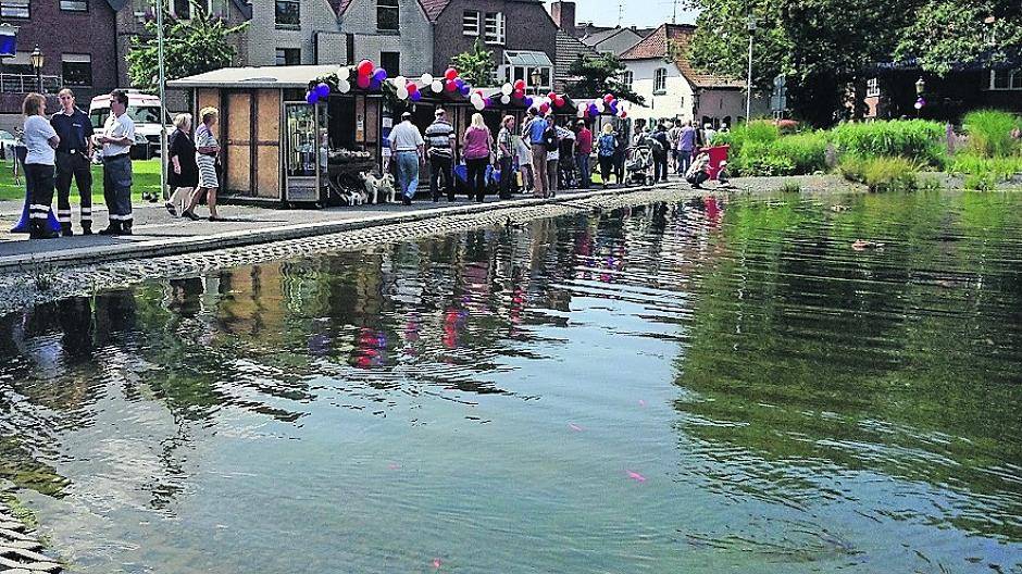  Zum Frankreichfest im Juli, leuchteten die Goldfische im Rathausteich. 