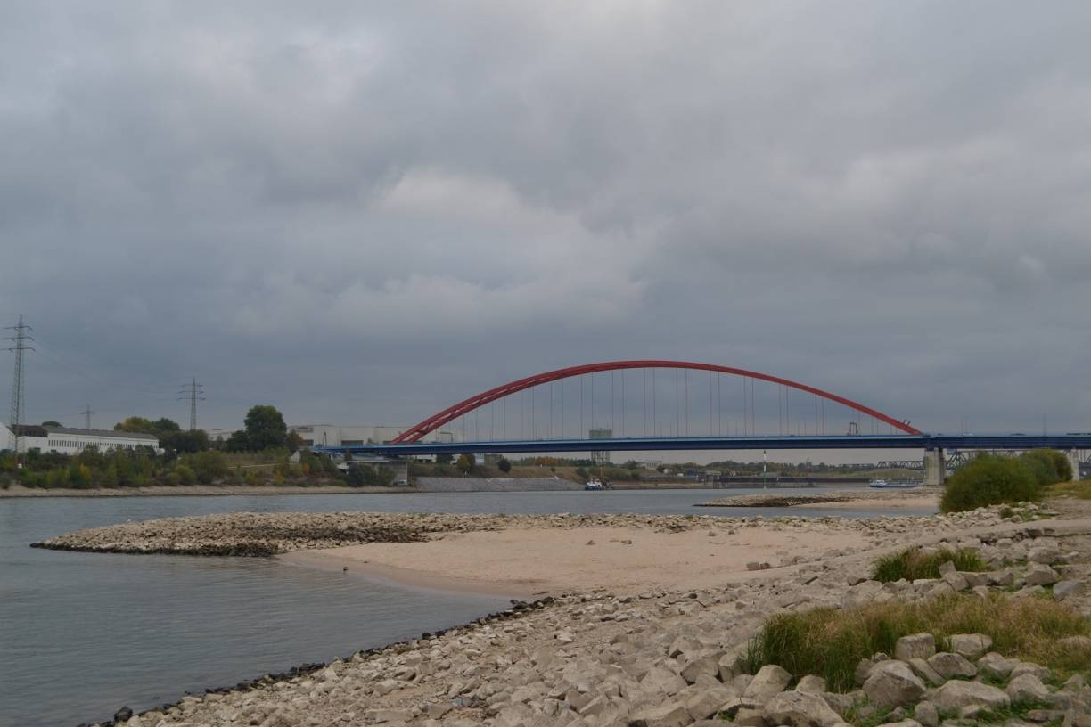 Wenig Wasser im Rhein