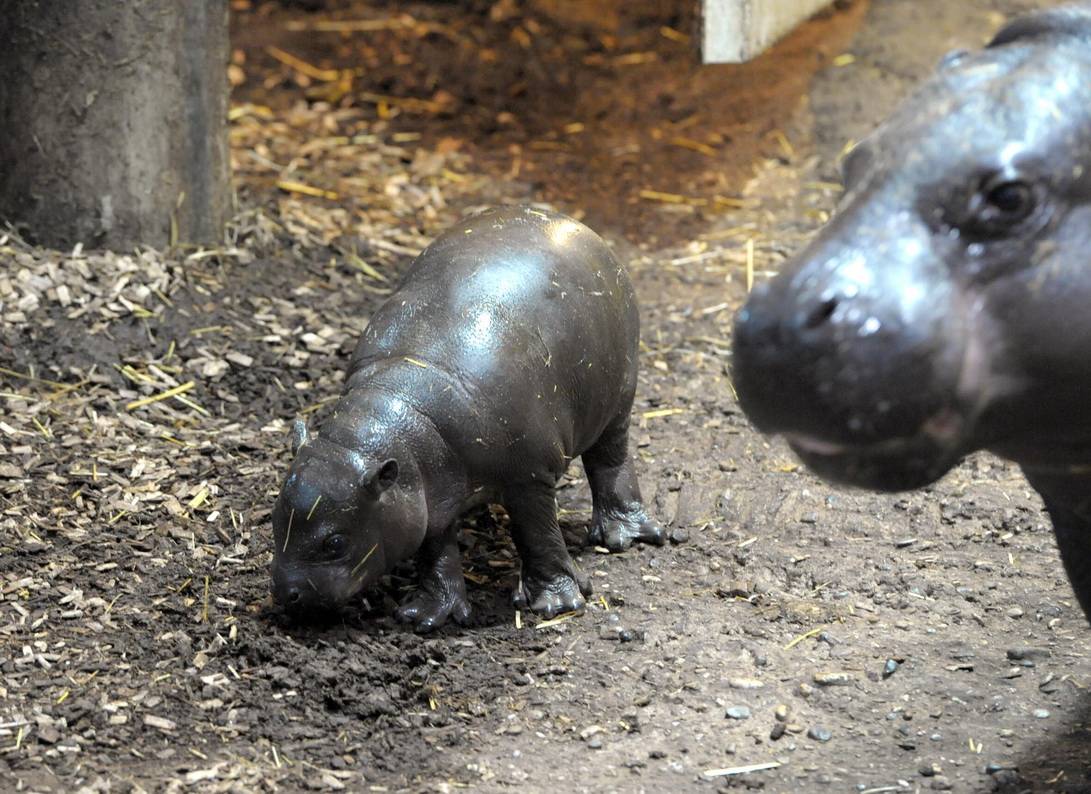 Seit seiner Geburt verbrachte sie mit ihrem Sohn in Ruhe die ersten gemeinsamen...
