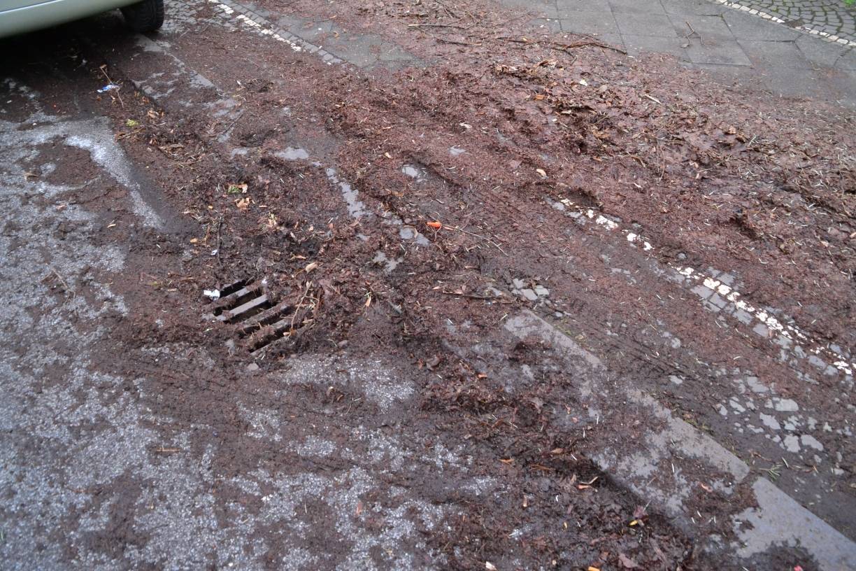 Anwohner beschweren sich über Straßenbelag, Bürgersteig, Straßenreinigung und Baumschnitt: Maiblumenstraße , oh je!