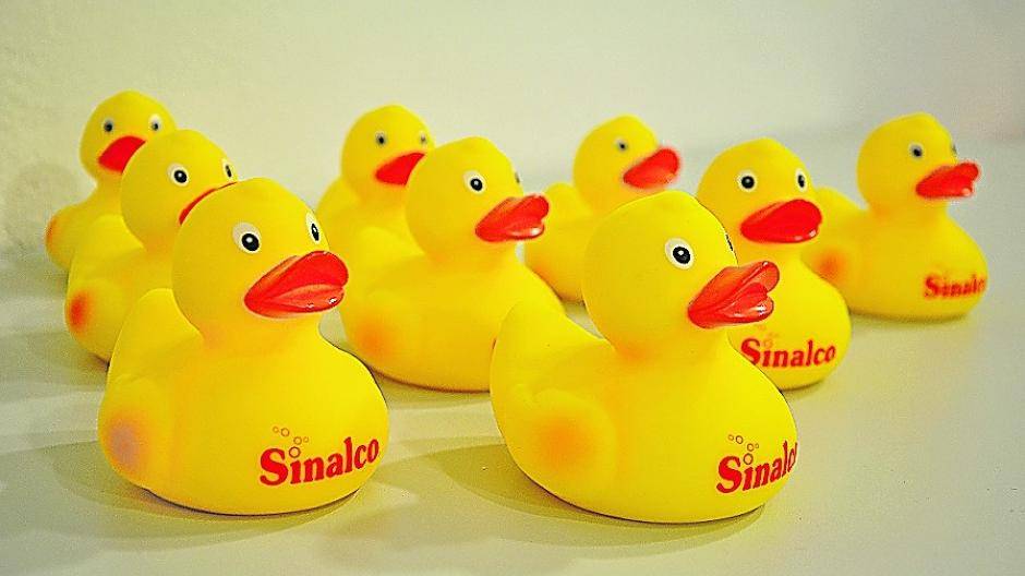 Diese putzigen gelben Tierchen schwimmen bald wieder um die Wette.