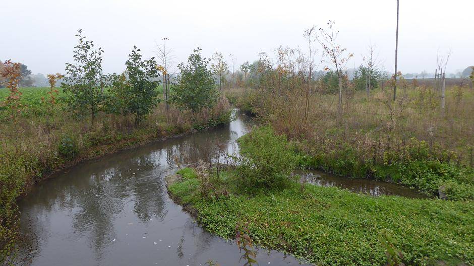  Das Amt für Umweltschutz des Rhein-Kreises Neuss hat eine Broschüre mit Informationen für die Anlieger von Gewässern erstellt — wie hier am Gillbach bei Hülchrath. 