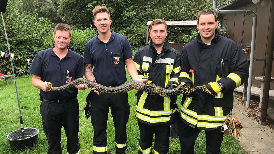 Anakonda am Latumer See gefangen!