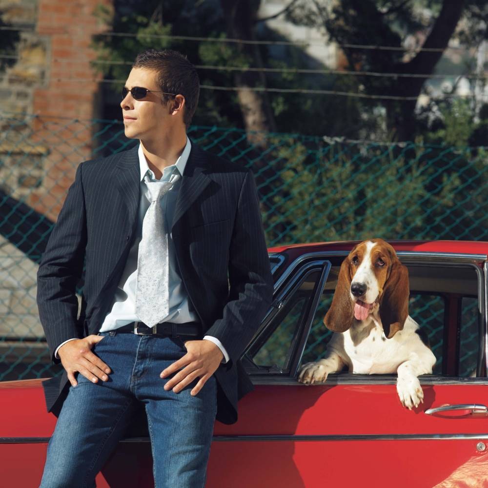  Herrchen sollte kein finanzielles Risiko eingehen und eine Tierhalter-Haftpflichtversicherung abschließen. 