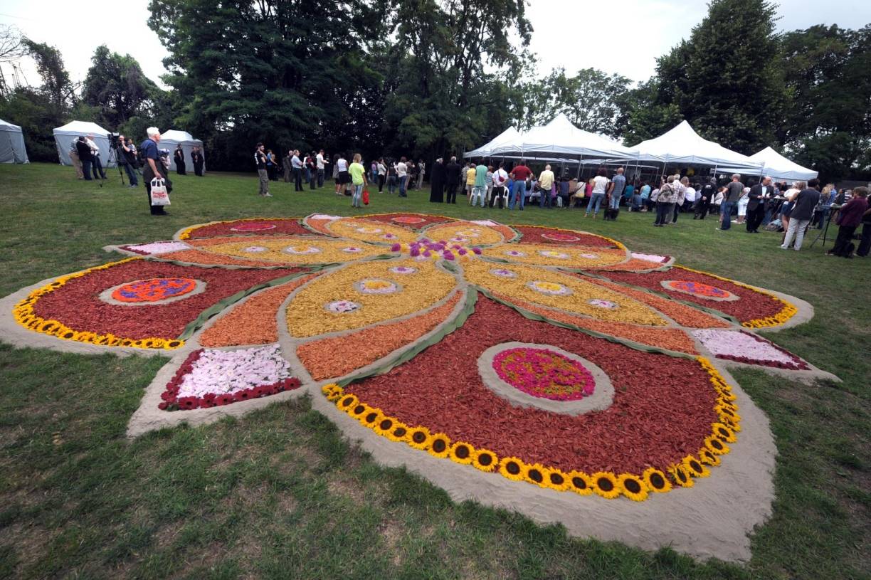  Das von Duisburger Künstlern gestaltete Blumen-Mandala am Mahnmal. 