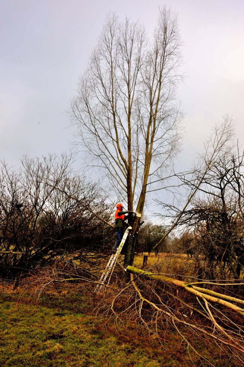 Der Mensch ist immer das Wichtigste! Schutzkleidung ist zumindest für die Personen an der Säge unverzichtbar. Wirklich etwas ernstes passiert ist aber in all den Jahrzehnten noch nie.