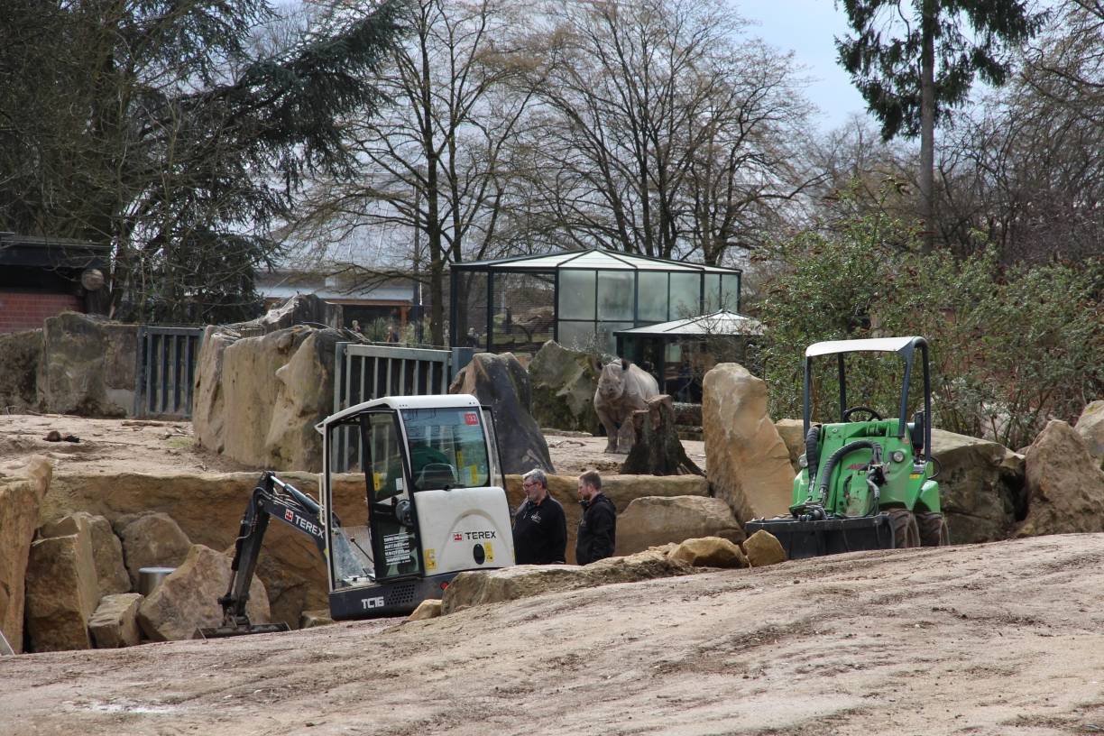 Ach, übrigens...: Die City im Wandel, der Zoo aber auch