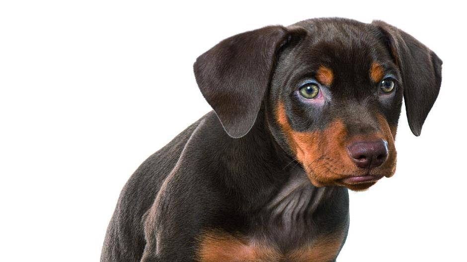 Foto: DoraZett/ Fotolia