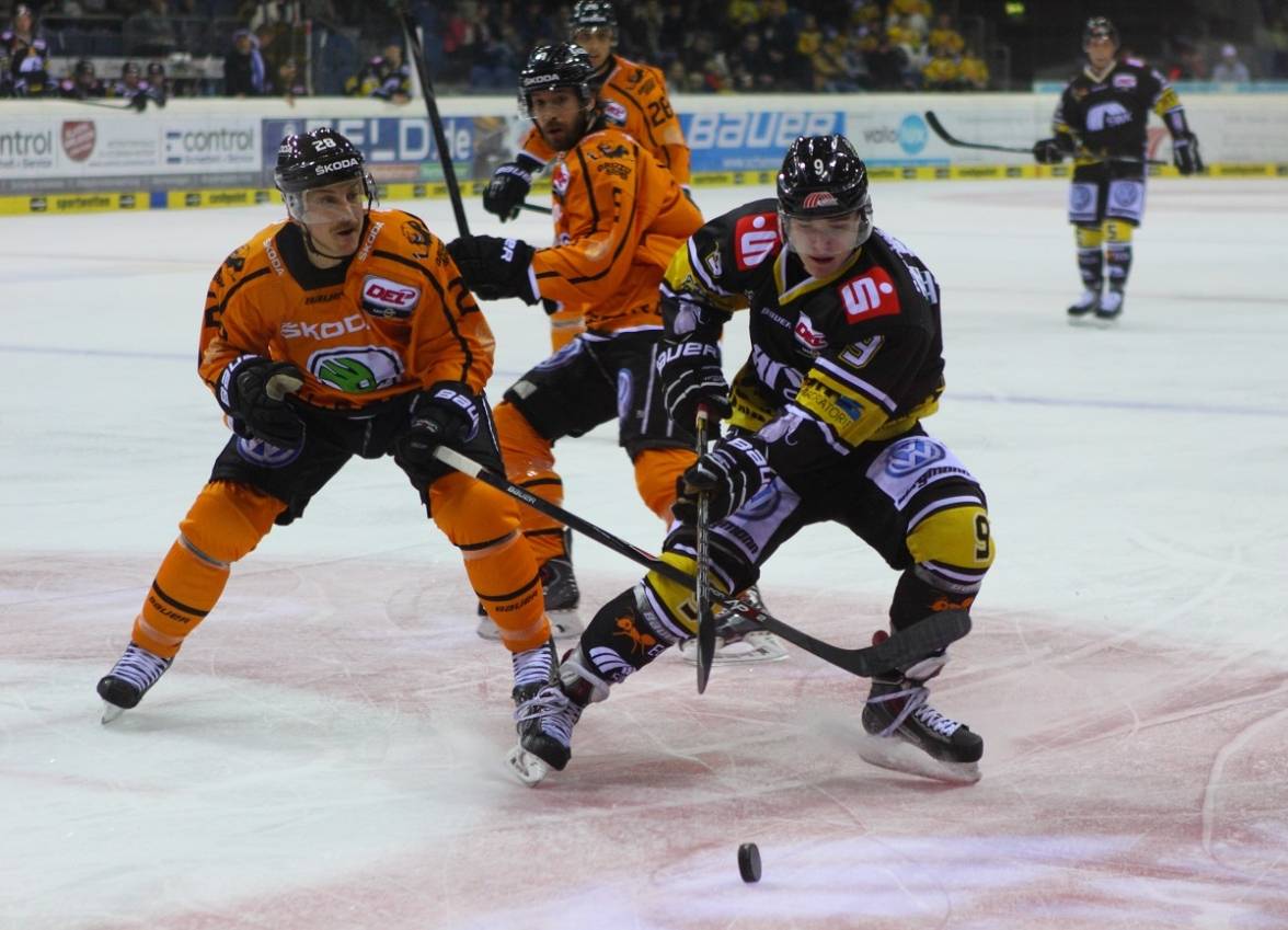 Pinguine: Planung und Gerüchte