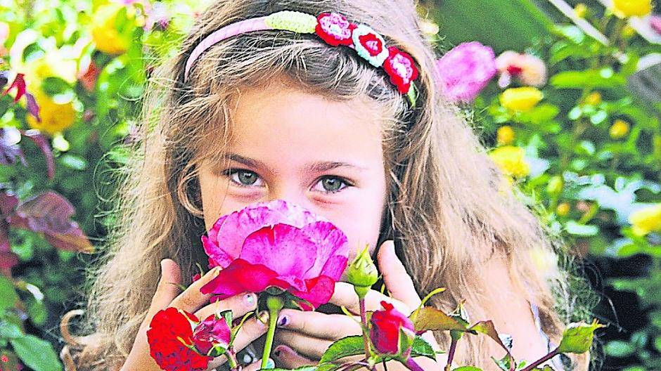 Die Rose gilt als die beliebteste und am häufigsten kultivierte Gartenblume der Welt.