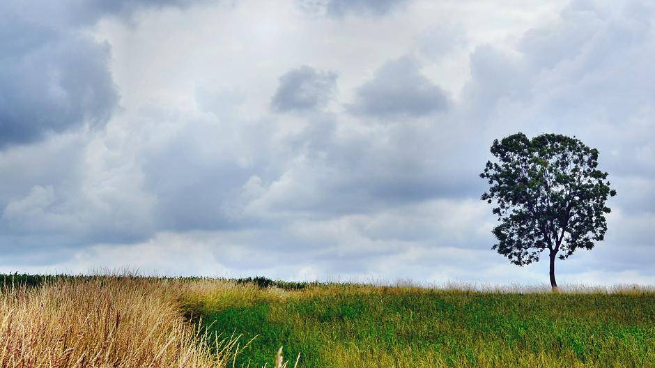 Klimawochen Ruhr: Akteure gesucht!