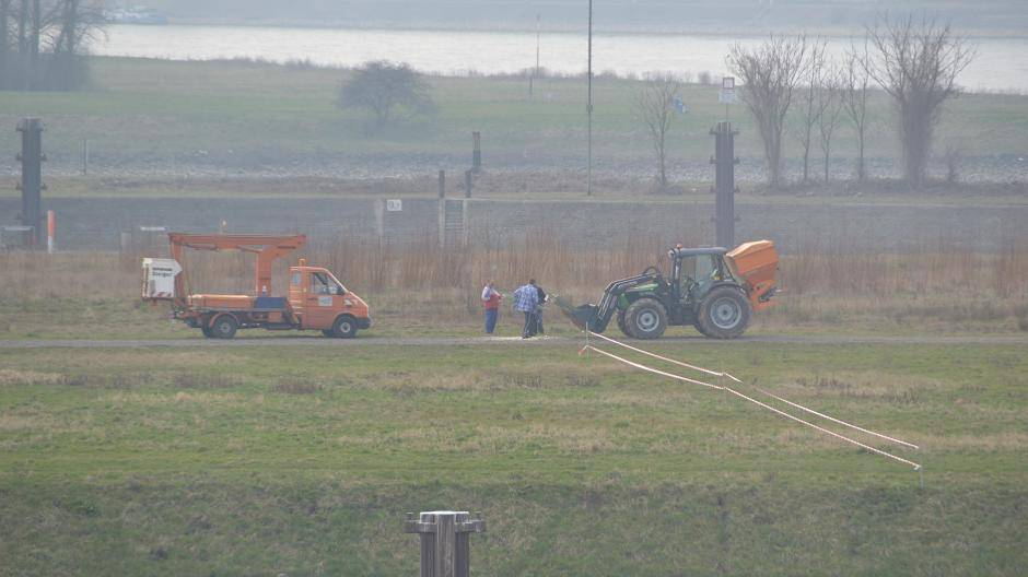 Was wächst da denn nun wirklich?