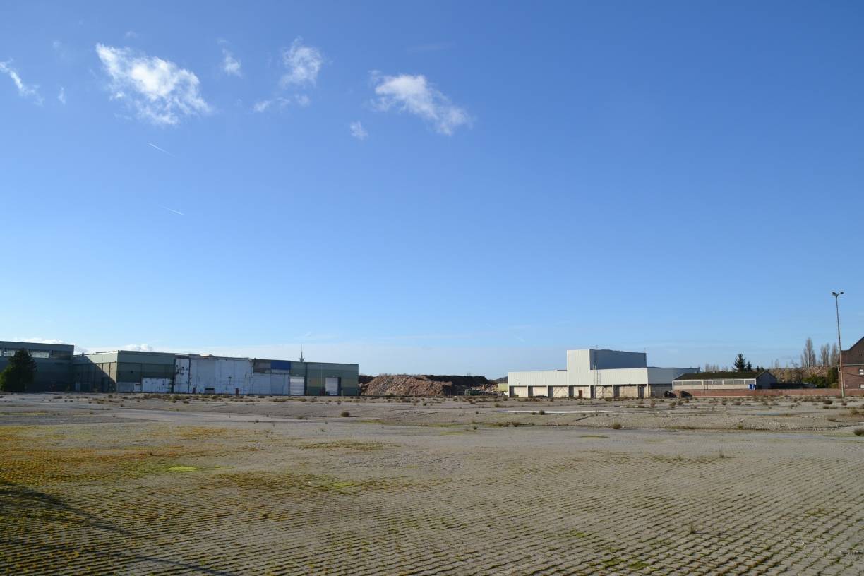  Das Gelände des alten Spanplattenwerkes an der Rheindeichstraße ist riesig und erstreckt sich bis zu den Zechenbahn-Gleisen, angrenzend an das Naherholungsgebiet Uettelsheimer See. Marode Gebäudeteile und Berge von Holzschnitt „zieren“ derzeit die Fläche. 