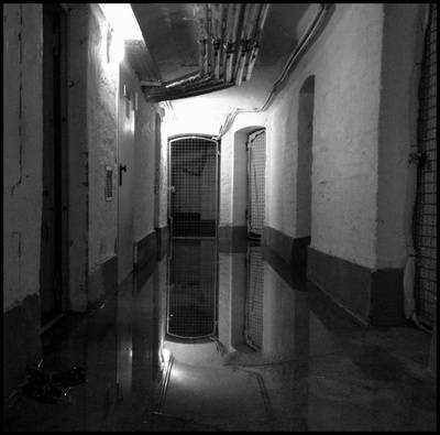 Wasser im Keller: "Unter fünf Zentimetern nicht die Feuerwehr rufen!"