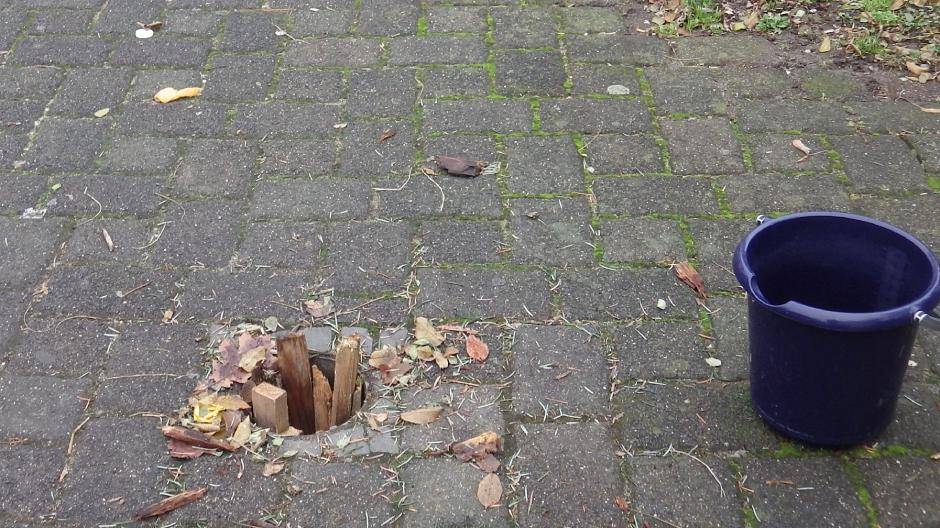  Der Baum ist verschwunden, übrig geblieben ist ein unschönes Loch. 