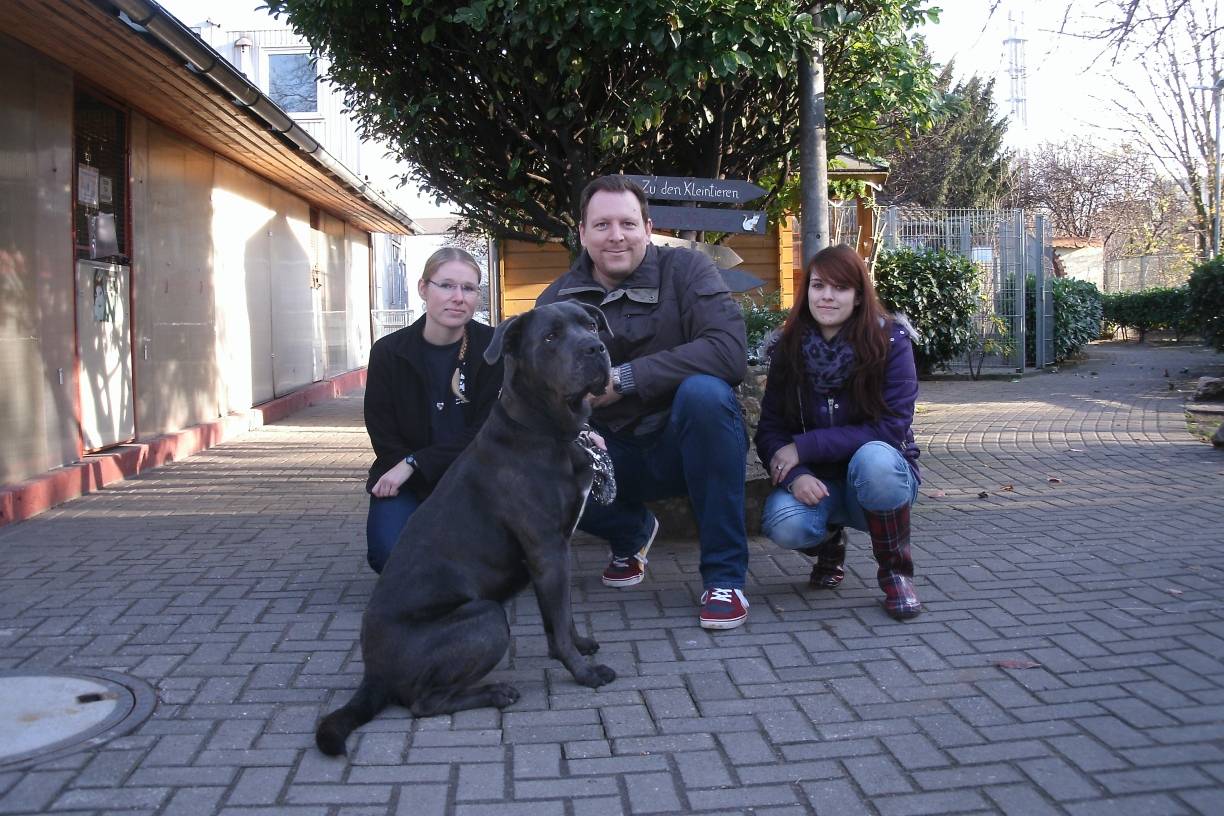 Tierpatenschaft übernehmen