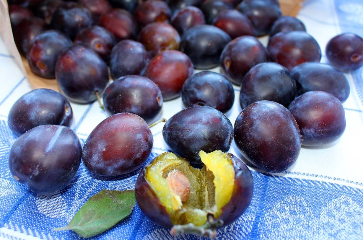 Es ist „Prumme-Tiet“