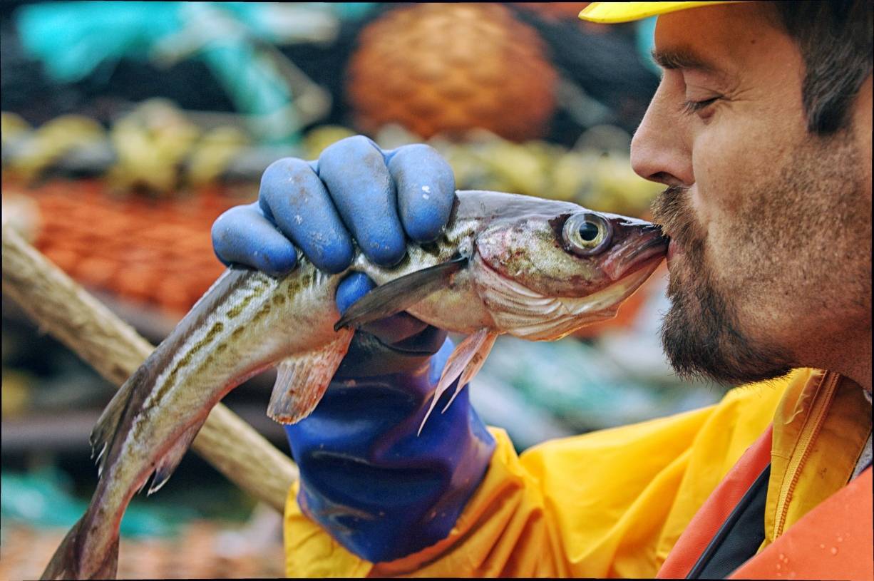 Die lange Reise des Fischstäbchens