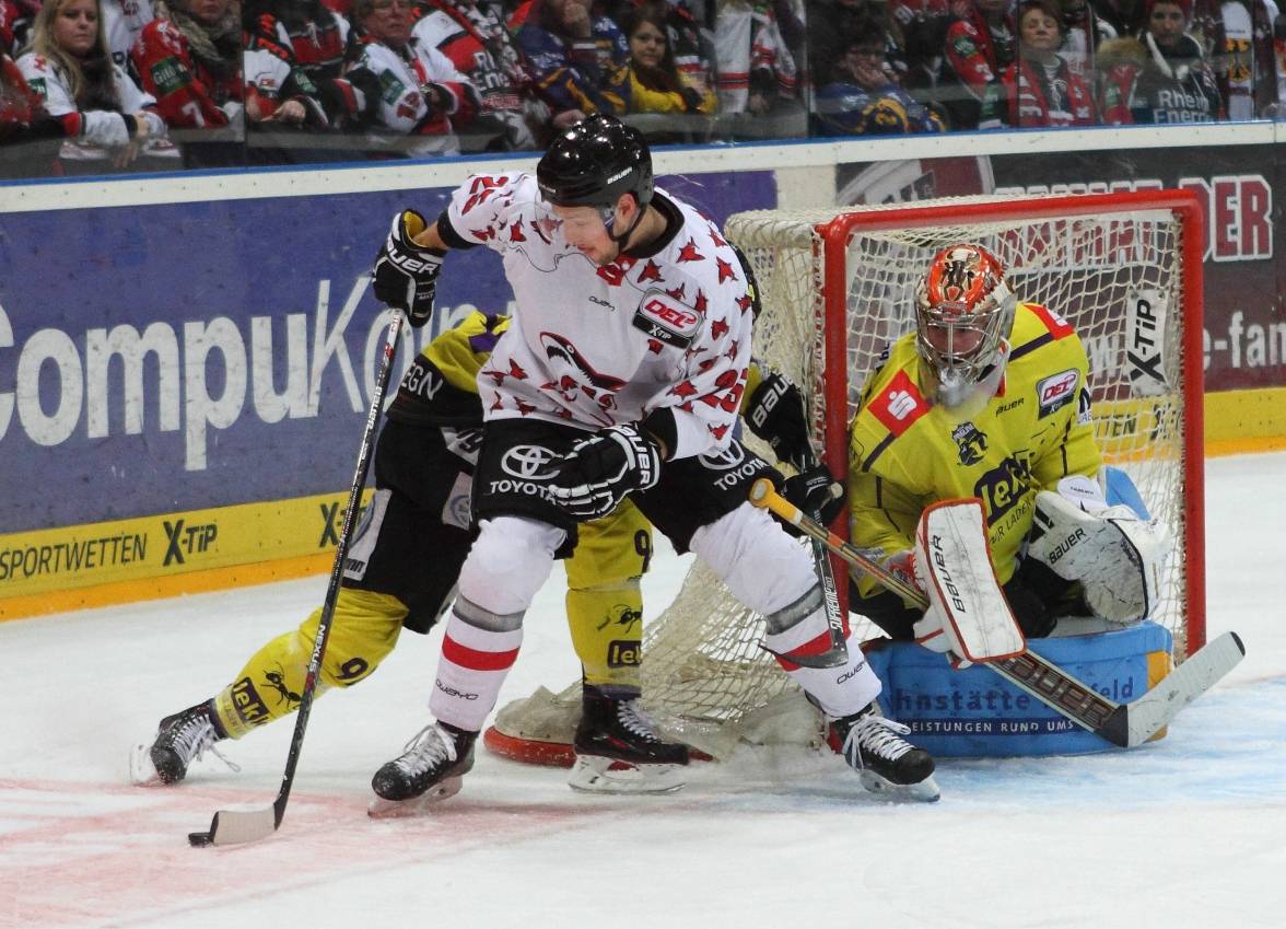 Pinguine sind heiß aufs Eis