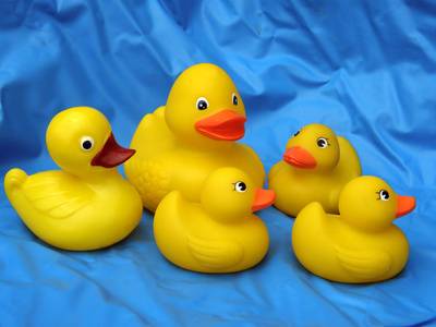  Wie immer feiert die Judenstraße "im Zeichen der Ente". Am Freitag werden wieder Preise verlost und denjenigen, die der vierten Ente einen originellen Namen geben. 