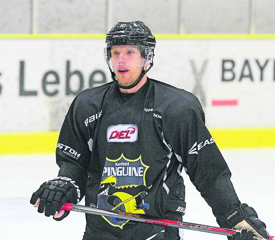 Pinguine laufen schon auf Hochtouren