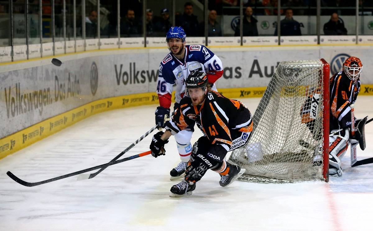 Pinguine holen Tim Hambly