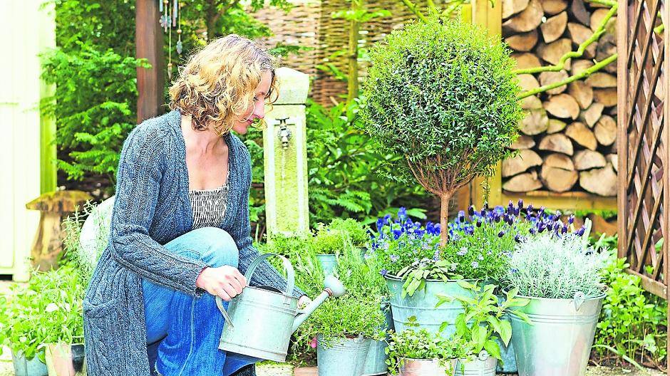  Mediterrane Pflanzen schaffen natürlich schöne Augenblicke und sorgen für Urlaubsstimmung zuhause. 